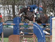 Garofalo A Quidich TosTour 2013- S4 6583 : Arezzo Equestrian Centre, Garofalo Antonio, Quidich de la Chavee, Toscana Tour 2013, foto di Stefano Secchi ©